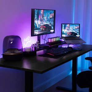 VX Adjustable height desk